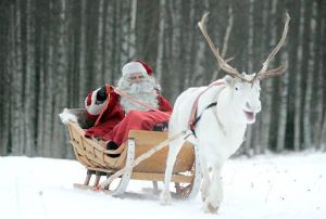 Незабываемый новогодний отдых в Финляндии