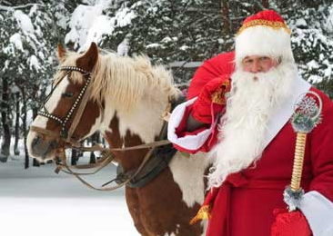 Дед мороз и лошадь