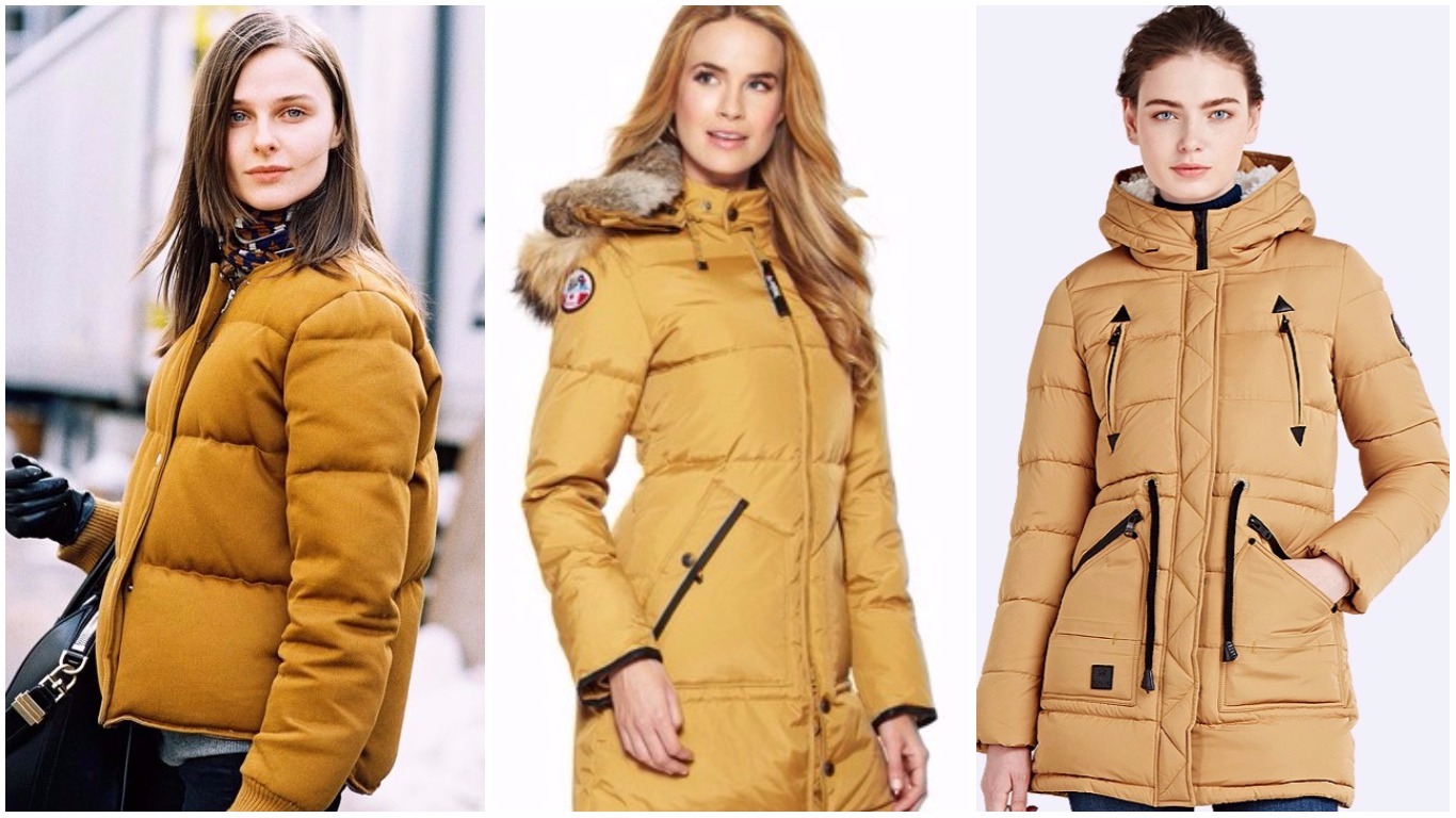 Какие куртки в моде фото. Модные женские куртки. Куртки женские осень зима. Зимние куртки женские молодежные.